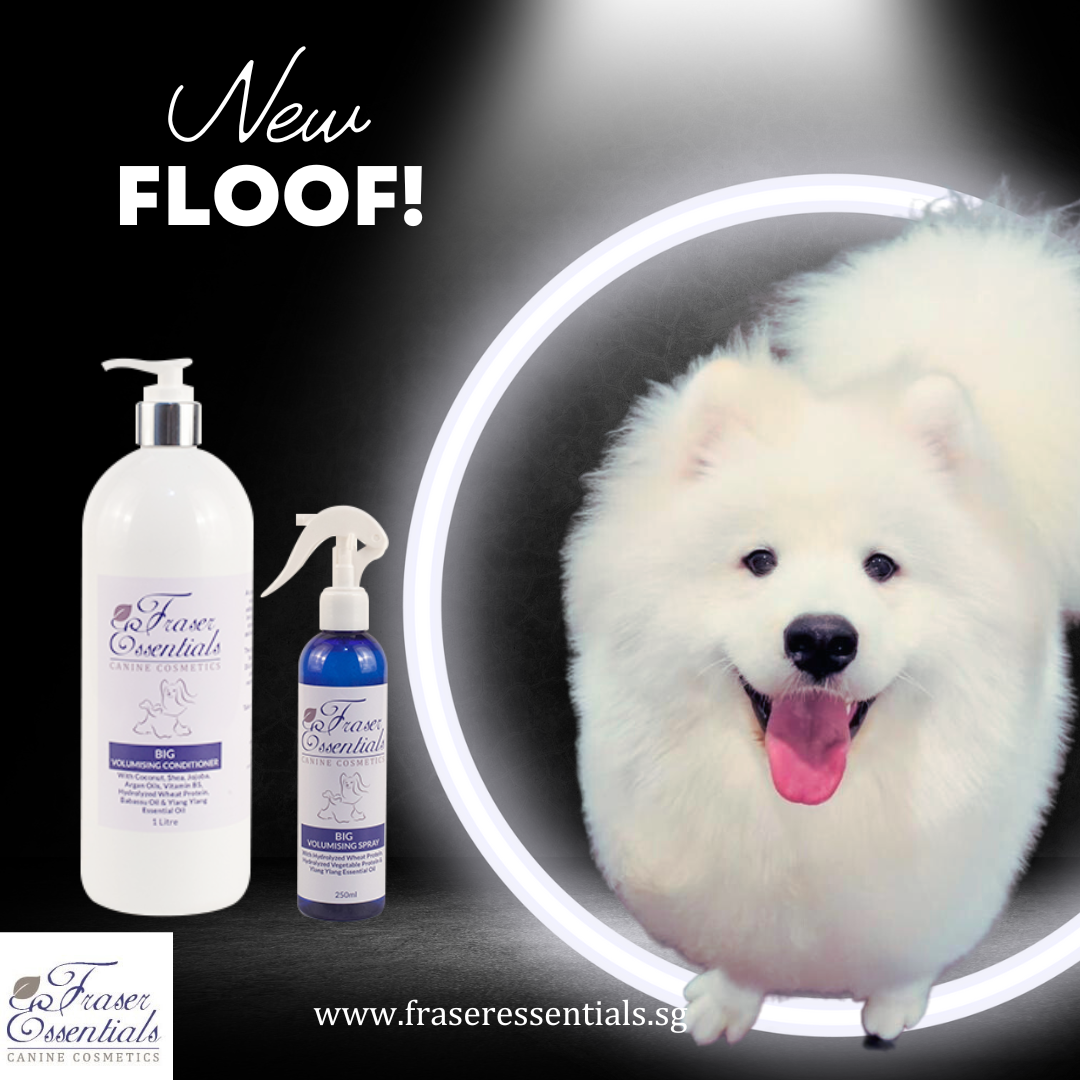 BIG VOLUMISING CONDITIONER