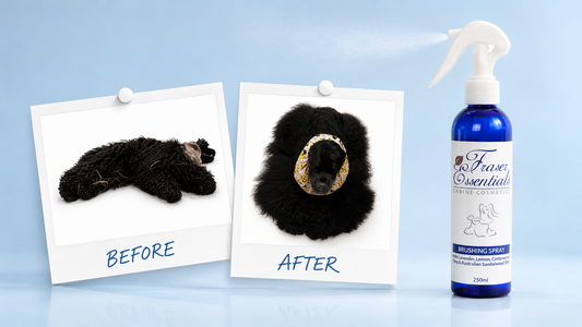 Never Brush a Dry Coat: How to Use Brushing Spray