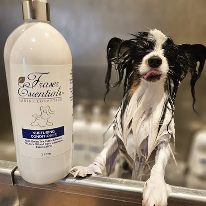 NURTURING CONDITIONER