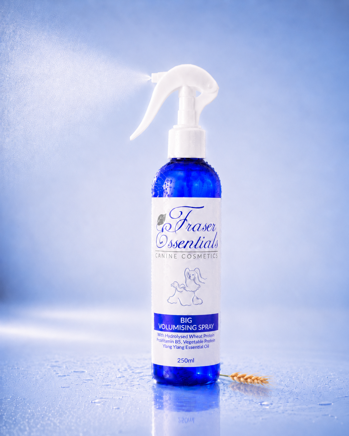 BIG VOLUMISING SPRAY