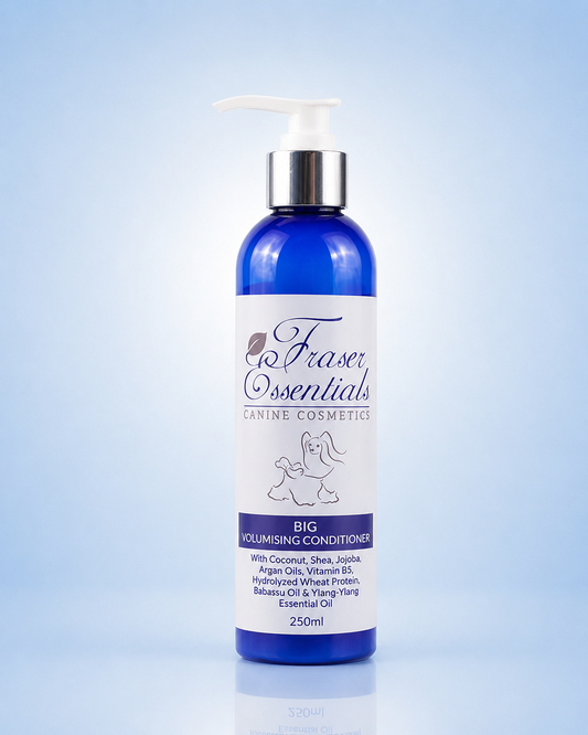BIG VOLUMISING CONDITIONER