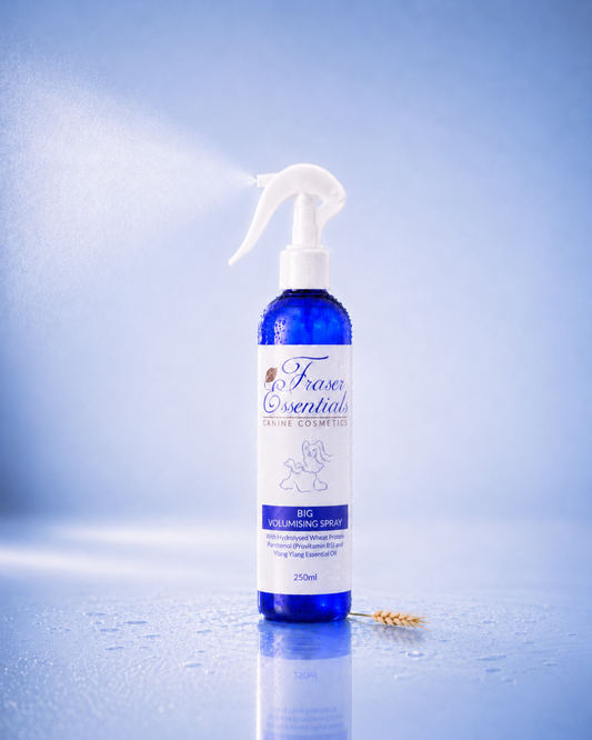 BIG VOLUMISING SPRAY