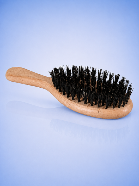 OVAL BOAR BRISTLE BRUSH