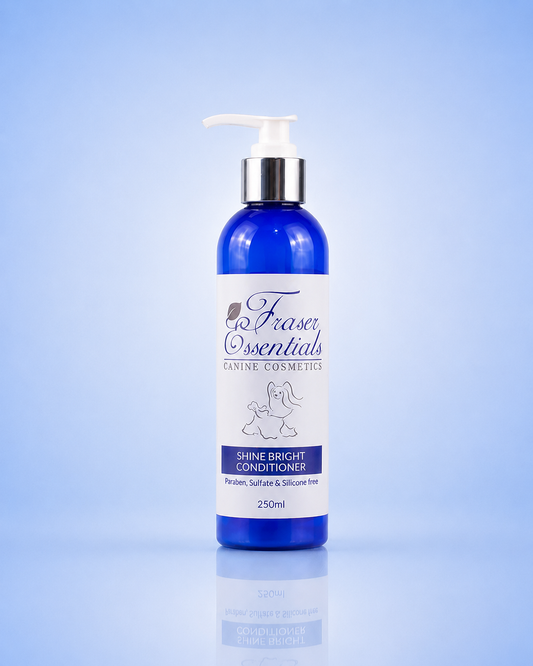 SHINE BRIGHT CONDITIONER