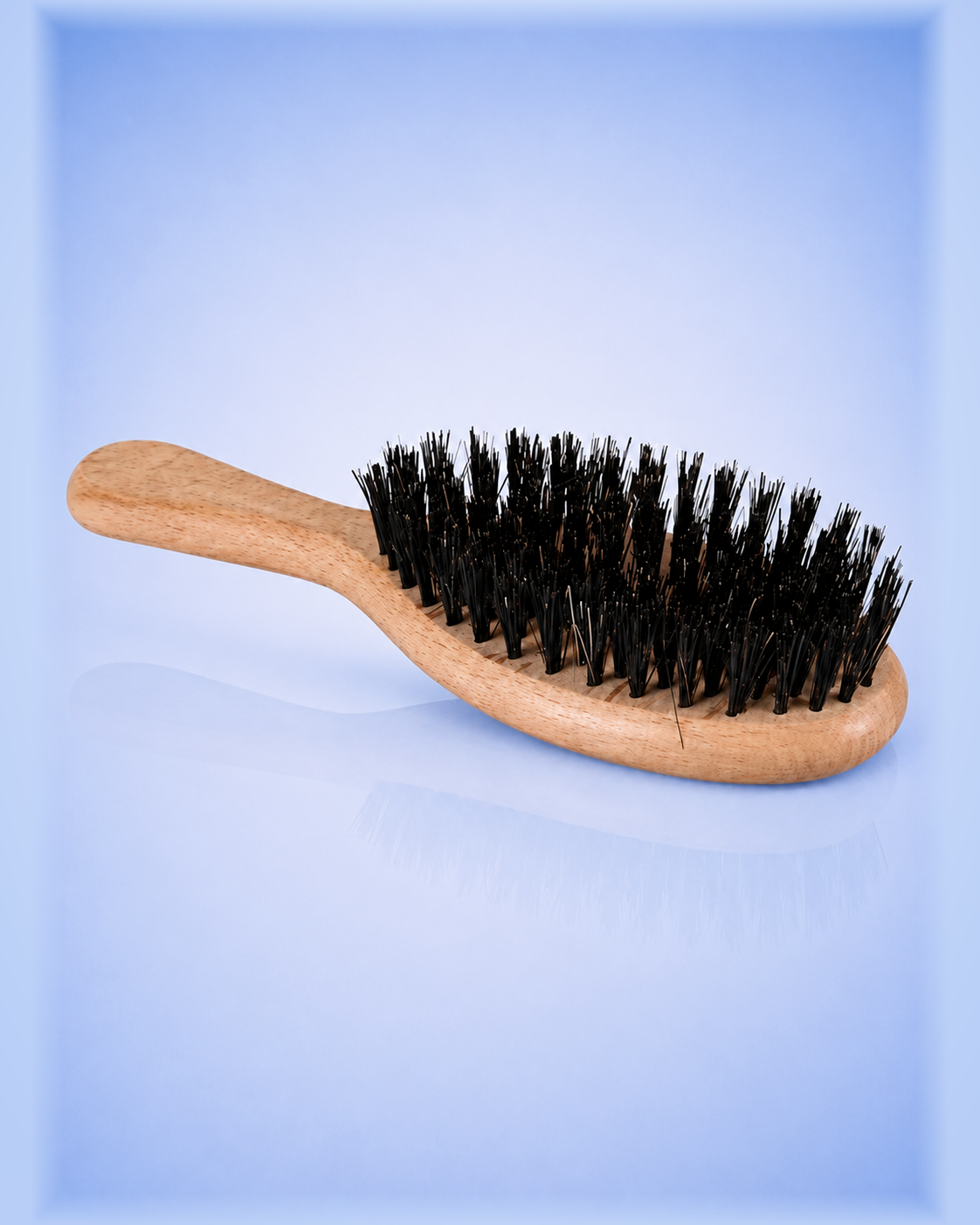 OVAL BOAR BRISTLE BRUSH