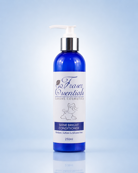 SHINE BRIGHT CONDITIONER
