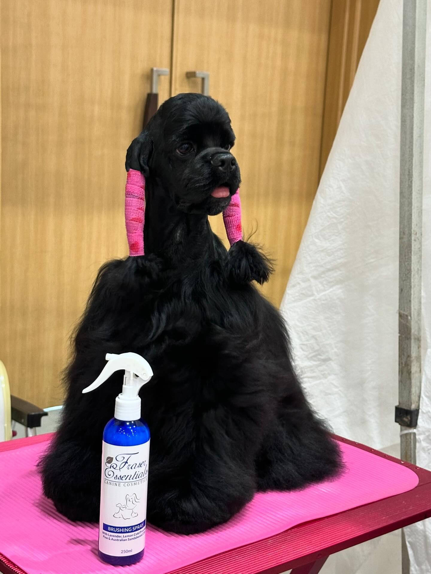 CLASSIC BLACK SHAMPOO
