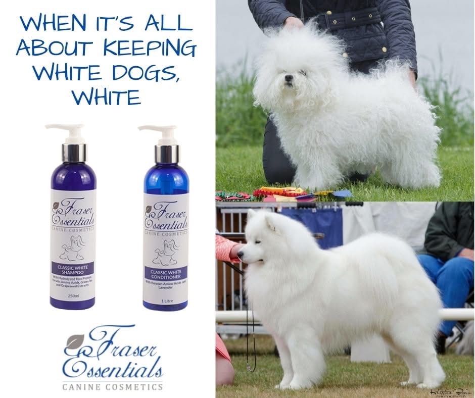 CLASSIC WHITE CONDITIONER