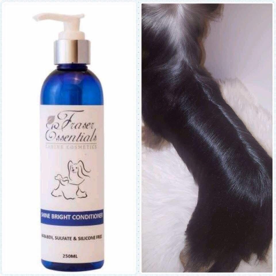 SHINE BRIGHT CONDITIONER